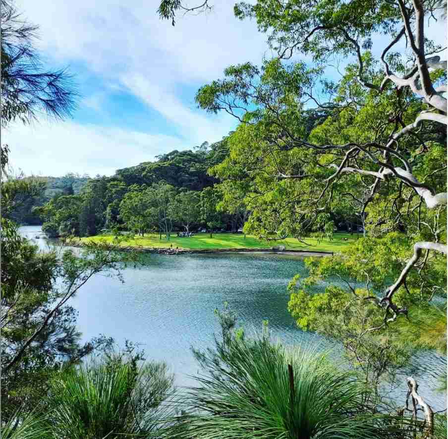Improvements to Twin Creeks Walking Track Kuringgai Living