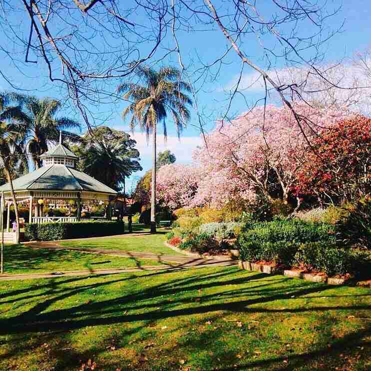 Wahroonga Park Turns 100 With a Community Celebration and a Time Capsule! Kuringgai Living