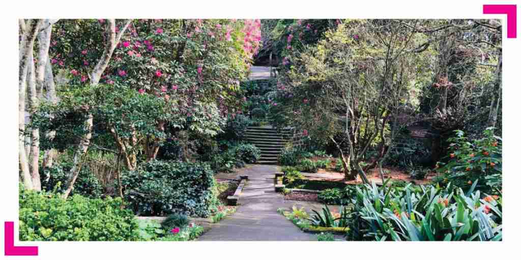 The Kuringgai Heritage Festival Returns for 2022 Kuringgai Living