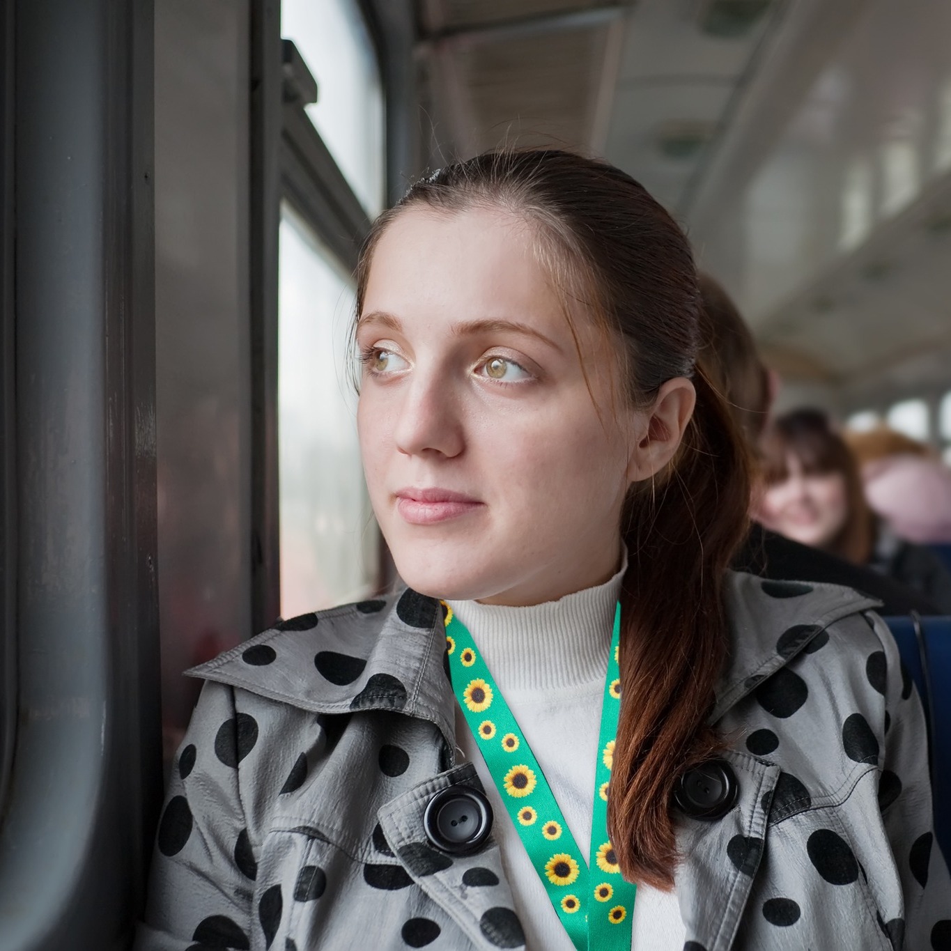 Kuringgai Council joins the Sunflower Program Kuringgai Living