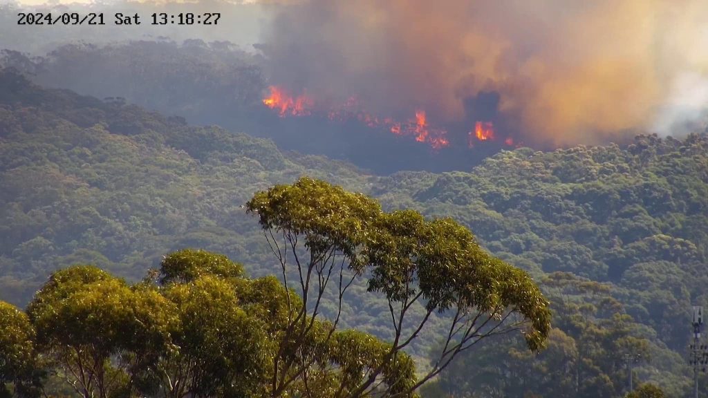 Bushfire Season: What To Do When It's Too Late To Leave